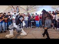 Asi baila rock la mujer bionica y su mascota con sonido cherokee recinto ferial de chimalhuacan