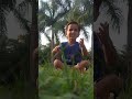 Koni Tari Sanga Hila... #trending #marathisong #marathi #radhekrishna