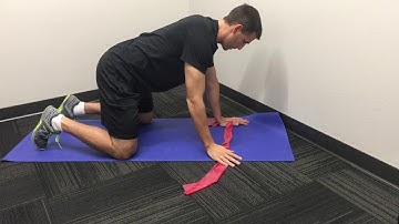 Quadruped Banded Thoracic Rotation