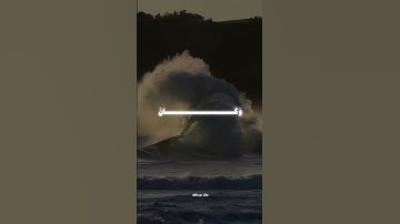 سورة هود الآية 42