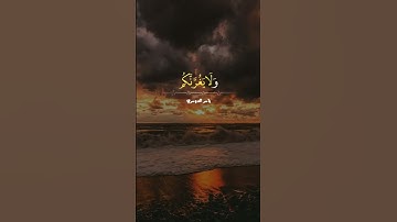 لا إله إلا الله...تلاوة مؤثره جدا بصوت خاشع...🥺💔😭 #القرآن_الكريم #يارب_رحمتك #ياسر_الدوسري