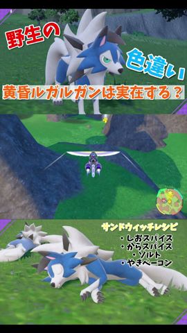 見回すだけ イワンコ色違い厳選方法 ポケモンsv Youtube