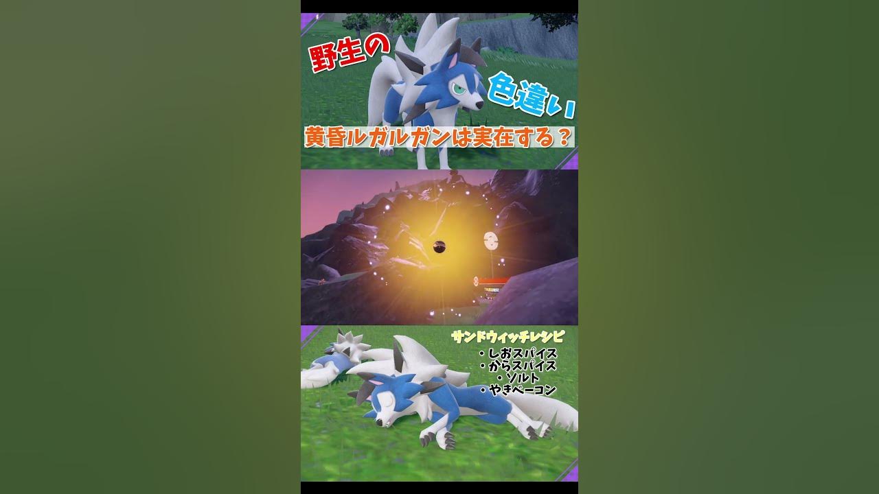 ポケモンsv 野生の色違い たそがれルガルガンは実在する Shorts Youtube