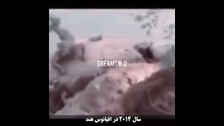 پری دریایی واقعا وجود داره 