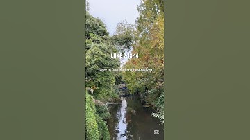 Advent Day 24: Luke 2:13-14 #advent #bible #jesus #bibleverse #hope #peace #joy #love #christmas