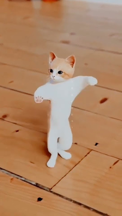 Juju jujuju juju juju 😺#shortvideos #viral #cat dance