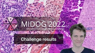 Midog 2022 Insights From The Challenge Report