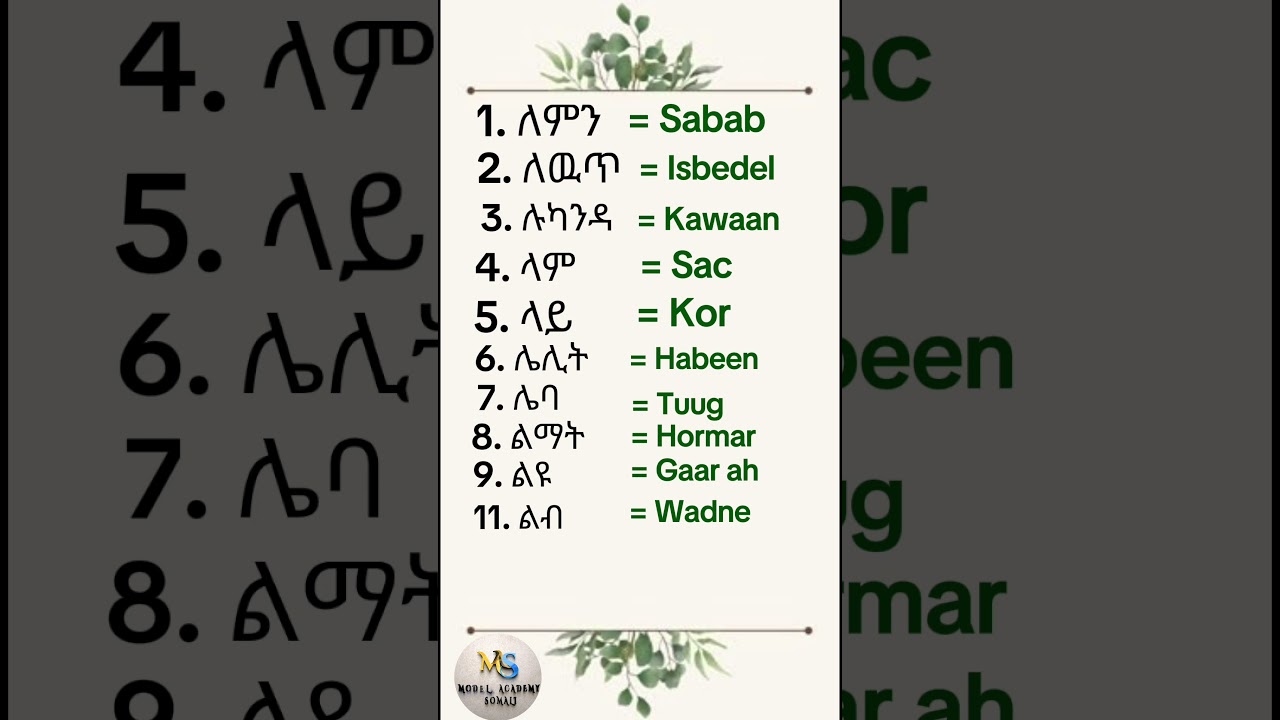Amharic- Somali - YouTube