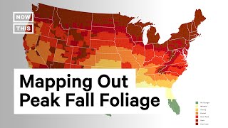 Map Shows Peak Foliage Prediction Across the U.S.