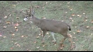 Deer Slam PT4 Oregon Blacktail W/ Bob Fromme