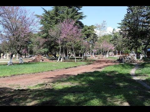 რუსთავის თეატრის წინ სკვერის რეაბილიტაცია დაიწყო