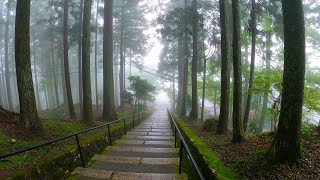 Kyoto Walk - Enryakuji Temple - 4K