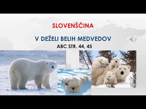 Video: Vyhrajte Výlet A Uvidíte Divých ľadových Medveďov Tvárou V Tvár - Matador Network