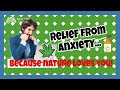 Best CBD oil for anxiety and panic attacks