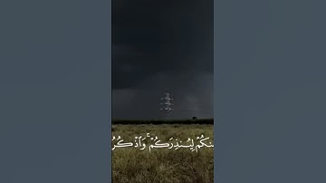 تلاوة خاشعة #تلاوات