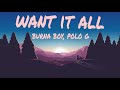 Burna Boy ft polo g (want it all) lyrics music video 2021