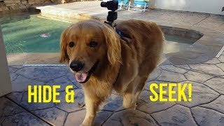 OSHIE PLAYS HIDE AND SEEK | Oshies World