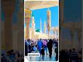 ham Madina jayen gay_viral_trending #shorts #shortvideo #naat #madina