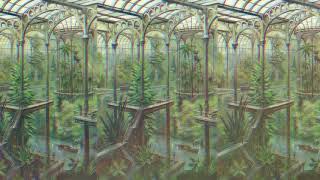 PRIMROSE - CURREN$Y x ISAIAH RASHAD TYPE BEAT