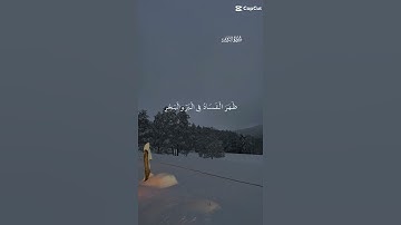 تلاوة رائــعه للشيخ #ياسر_الدوسري