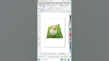 Criando Efeito de Perspectiva #coreldraw #perpectiva