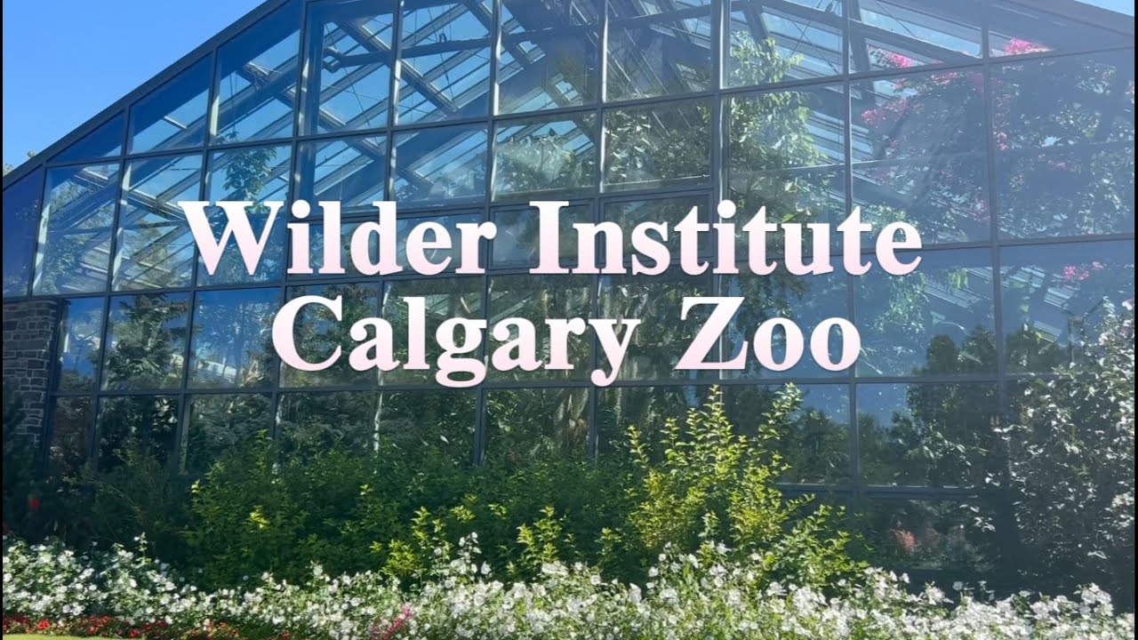 Welcome to Wilder Institute Calgary Zoo, Canada - YouTube