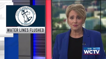 Water should be clear with minimal sulfur odor, city of Apalachicola says