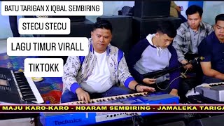 MUSIK PANASSS BATU TARIGAN & IQBAL SEMBIRING | LAGU TIKTOK VIRALLL 