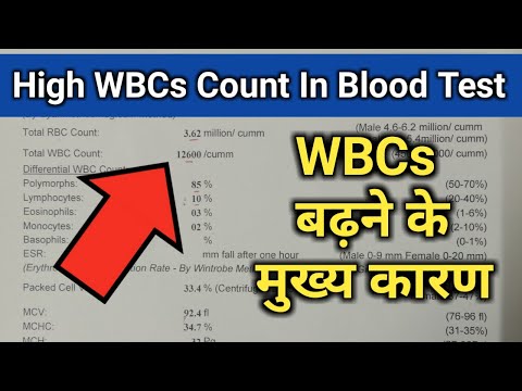 high-wbcs-count-in-cbc-test,-wbcs-blood-report,-white-blood-cells-high,-wbc-in-hindi,-cbc-test-hindi