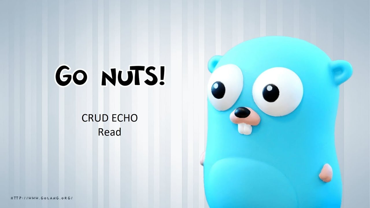 Golang Echo Crud Example