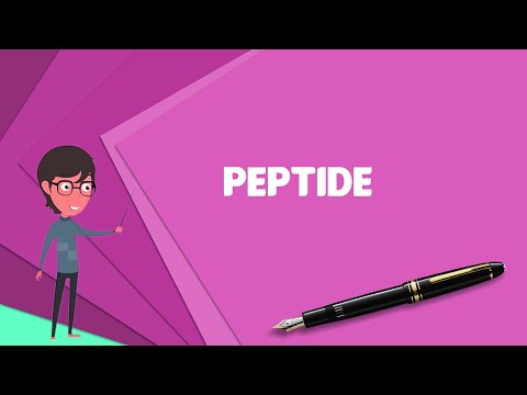 What is Peptide? Explain Peptide, Define Peptide, Meaning of Peptide