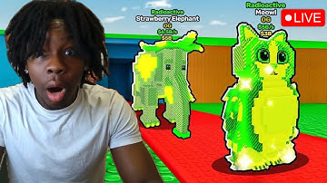 🔴 STEAL A BRAINROT GIVEAWAY, PVP , UPDATE, TRADING, ADMIN ABUSE ROBLOX