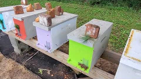 Prevent robbing with screens and remote entrances!