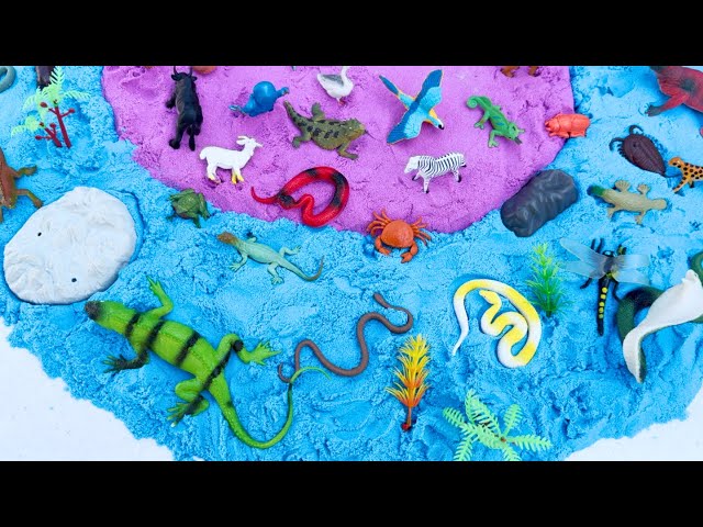 Animals Toy Collection In Purple and Blue SAND | Snakes, Lizards, for kids class=