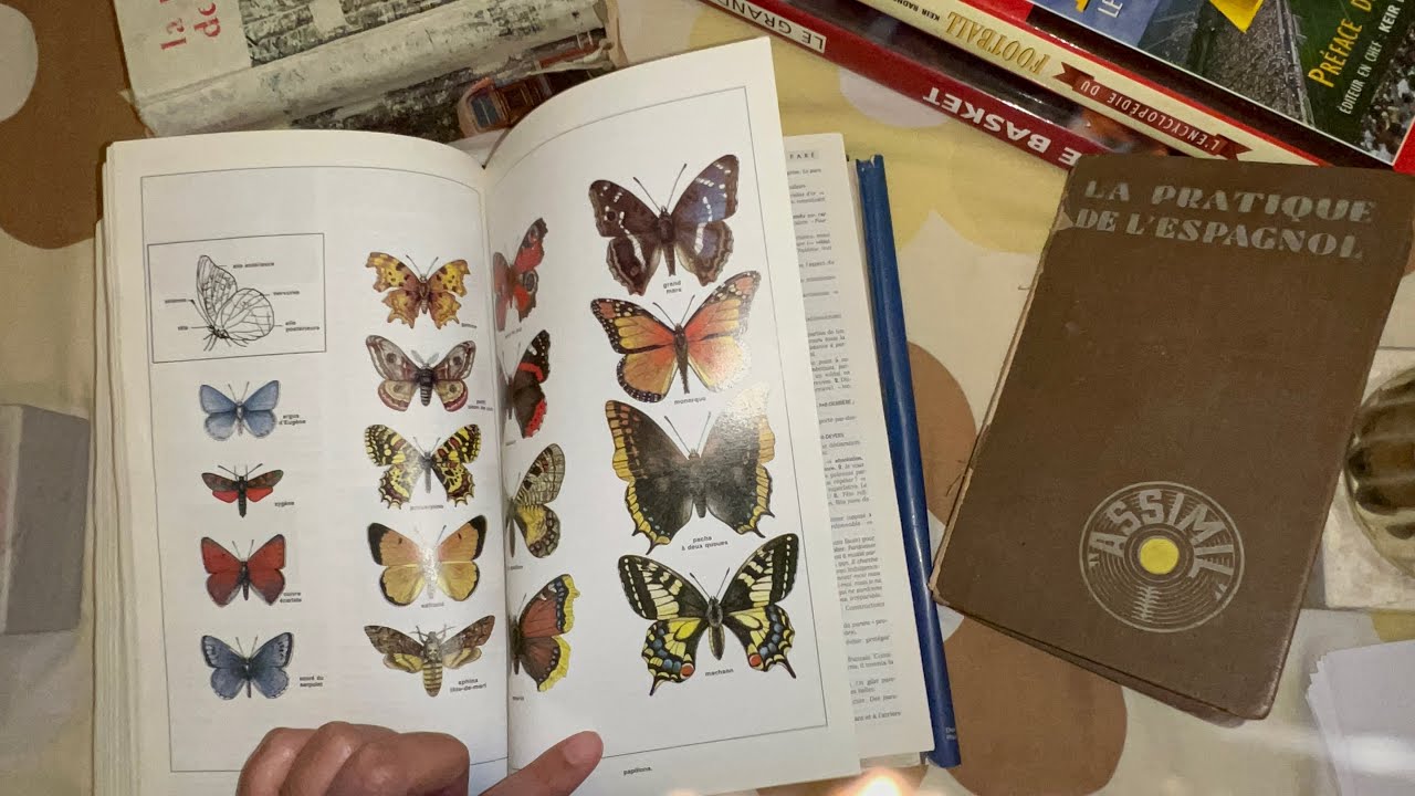 ASMR Turning Pages of Dictionary #asmr #satisfying #asmrsounds #asmrcommunity #fyp #relax #crunchy