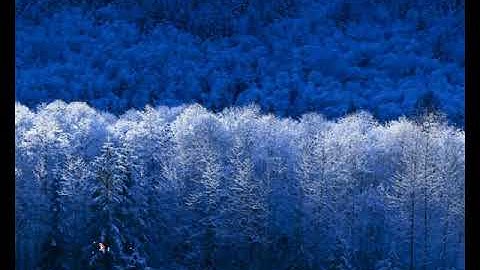 Picture box in C#.net. How to Insert picture in .net