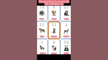Từ vựng tiếng Trung chủ đề các loài động vật #tuvungtiengtrung #tiengtrung #chinesevocabulary #learn