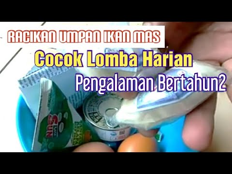 Racikan umpan ikan mas lomba terbaru | umpan ikan mas bondon | umpan