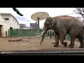 2024.02.01 15:42 マック お水とその後（2シーン）