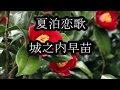 夏泊恋歌 城之内早苗 cover輩