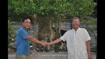 CUONGHOASI VIDEO 70 GÉP ĐÁ TRÊN ĐỈNH PHÙ VÂN (PHẦN I)