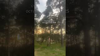 #май #2025 #расставание #репосты #природа