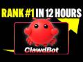 Clawdbot AI SEO: How I Ranked #1 in 12 hours