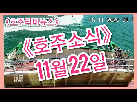 🇦🇺호주뉴스🌏 #11월22일 호주소식