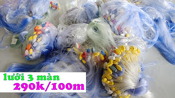 Bán lưới bắt cá 3 màn, lưới bắt cá rô phi, cá rô đồng, cá sông