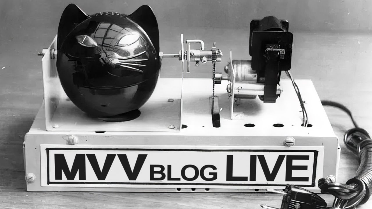 La posta di MVVblog Live - YouTube