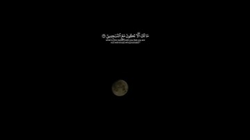 سورة الحجر الايه( 30-34 )القارئ عمر شميم❤️💤.