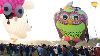 Balloon fiesta special shape balloons ...