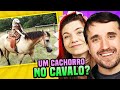 UM CACHORRO ANDANDO DE CAVALO?!