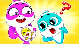 New Little Sibling Song Funny Baby Shark Kids Songs More